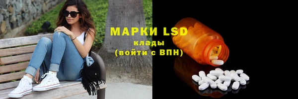 мдпв Гусь-Хрустальный