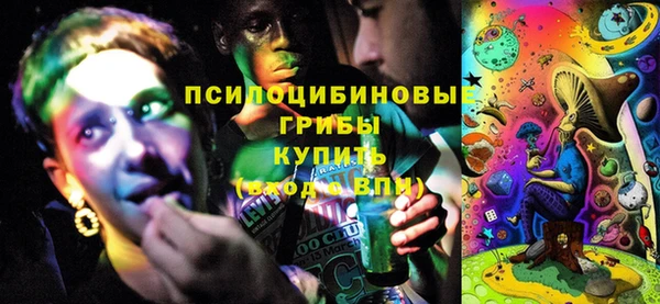 эйфоретик Гусиноозёрск