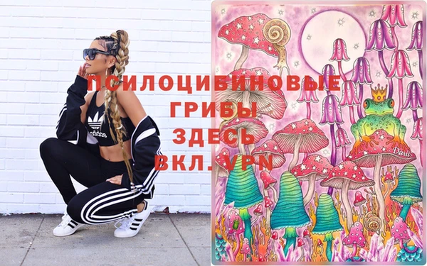мдпв Гусь-Хрустальный