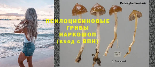 эйфоретик Гусиноозёрск