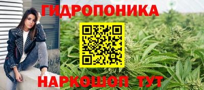СК Заводоуковск