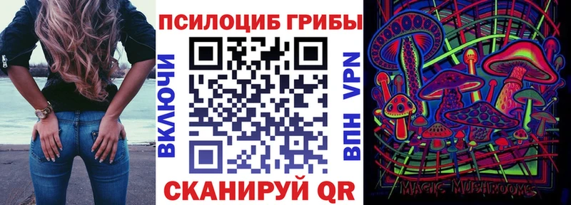 купить наркотики цена  Назарово  Псилоцибиновые грибы GOLDEN TEACHER 