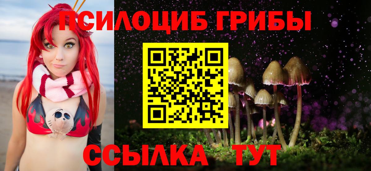 Галлюциногенные грибы Psilocybe Назарово