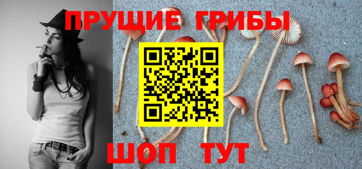 Псилоцибиновые грибы MAGIC MUSHROOMS  Назарово 