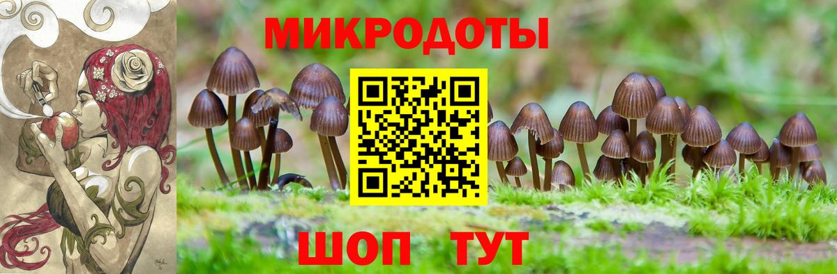 Галлюциногенные грибы мицелий  Вход с VPN  Назарово 